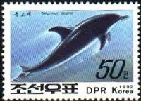 (1992-101) Марка Северная Корея "Дельфин-белобочка"   Киты III Θ