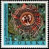 (1968-018) Марка Польша "Страстоцвет четырёхгранный" , III O