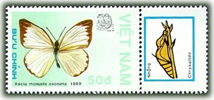 (1989-004a) Марка + купон Вьетнам &quot;Южная белая&quot;  Без перфорации  Бабочки III Θ