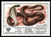 1977-103 Марка СССР Кобра среднеазиатская  Фауна I Θ