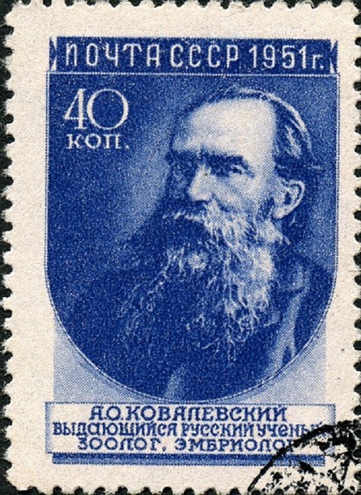 1951-040 Марка СССР А.О. Ковалевский (33 мм) Вып №1 (1951-52гг), квадр растр  Ученые II Θ