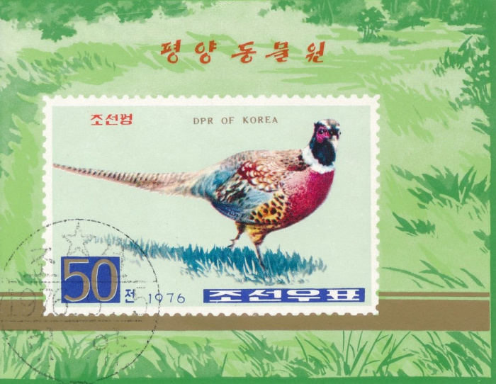 (1976-044) Блок марок  Северная Корея &quot;Фазан с кольцевой шеей &quot;   Фазаны III Θ