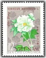 (1964-009) Марка Вьетнам "Китайская роза"   Цветы III Θ