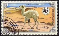 (1985-028) Марка Монголия "Верблюжонок"    Двугорбый верблюд III Θ