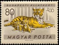 (1961-006) Марка Венгрия "Тигр"    Зоопарк Будапешта II Θ