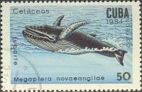 (1984-019) Марка Куба "Горбатый кит"    Киты и дельфины III Θ