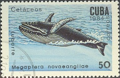 (1984-019) Марка Куба &quot;Горбатый кит&quot;    Киты и дельфины III Θ