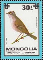 (1979-066) Марка Монголия "Ястребиная славка"    Охраняемые птицы III O