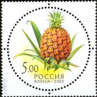2003-064 Марка Россия Ананас  Дары природы III O