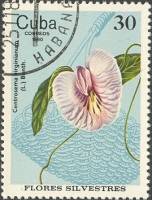(1980-076) Марка Куба "Дикий горох"    Полевые цветы III O