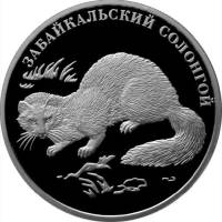 (113ммд) Монета Россия 2012 год 2 рубля "Забайкальский солонгой"  Серебро Ag 925  PROOF