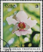 (1973-019) Марка Куба "Ванда"    Орхидеи II Θ