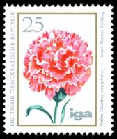 (1975-066) Марка Германия (ГДР) "Гвоздика"    Цветы III O