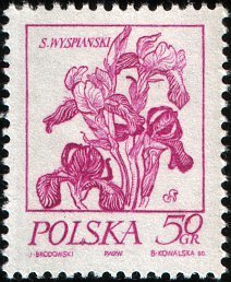 (1974-001) Марка Польша "Ирис"    Стандартный выпуск. Картины цветов Станислава Выспяньского  I &Theta;