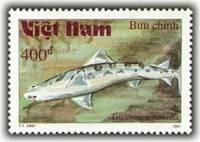 (1991-037) Марка Вьетнам "Калифорнийская тройнозубая акула"    Акулы III Θ