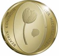 (№2012km310) Монета Нидерланды 2012 год 10 Euro (400 лет взаимоотношений Турция - Золотое издание)