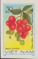 (1981-038a) Марка Вьетнам "Рамбутан"  Без перфорации  Фрукты III Θ