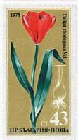 (1978-045) Марка Болгария "Тюльпан прибрежный"   Редкие цветы III Θ