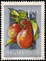 (1954-045) Марка Венгрия "Сливы"    Сельскохозяйственная выставка II Θ