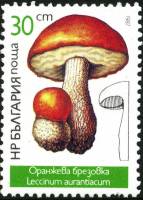 (1987-008) Марка Болгария "Подосиновик"   Грибы III Θ