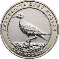 (2019) Монета Турция 2019 год 1 куруш "Авдотка" Внешнее кольцо жёлтое Биметалл  UNC