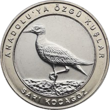 (2019) Монета Турция 2019 год 1 куруш &quot;Авдотка&quot; Внешнее кольцо жёлтое Биметалл  UNC
