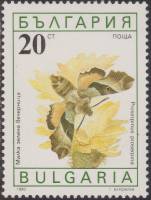(1990-047) Марка Болгария "Бражник прозерпина"   Бабочки III O