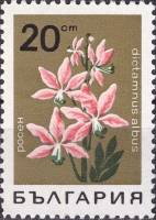 (1968-019) Марка Болгария "Ясенец"   Горные цветы III Θ