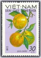 (1969-029) Марка Вьетнам "Апельсин"   Фрукты I Θ