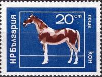 (1974-019) Марка Болгария "Лошадь"    Домашние животные III Θ