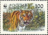 (1993-062) Марка Россия "Тигр в зарослях"   Уссурийский тигр III O