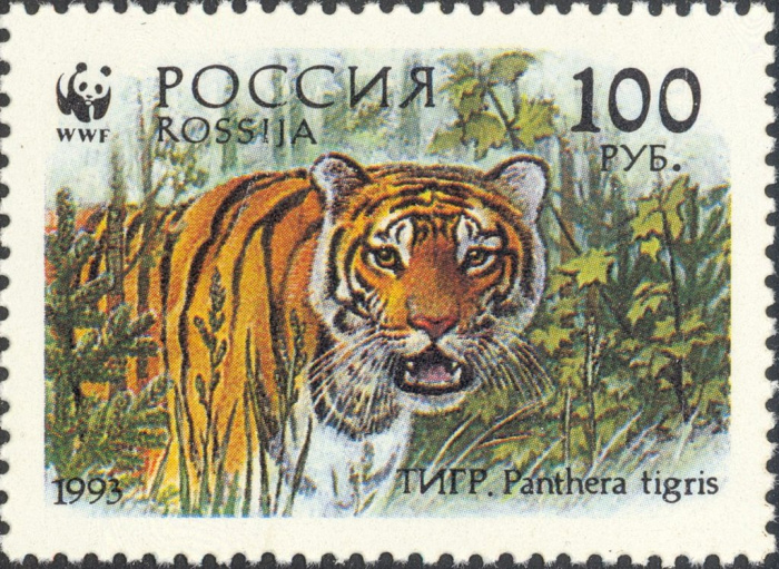 (1993-062) Марка Россия &quot;Тигр в зарослях&quot;   Уссурийский тигр III O