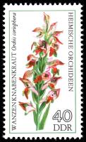 (1976-035) Марка Германия (ГДР) "Ятрышник клопоносный"    Орхидеи II Θ