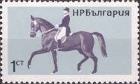 (1965-064) Марка Болгария "Объездка коня"   Конный спорт III O