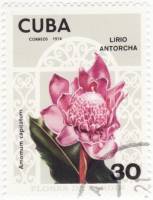 (1974-057) Марка Куба "Амомум"    Садовые цветы III Θ