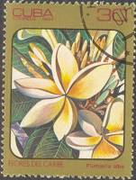 (1984-027) Марка Куба "Плюмерия белая"    Цветы III Θ