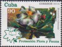 (№5862) Марка Куба 2014 год "Bonnetia cubensis", Гашеная