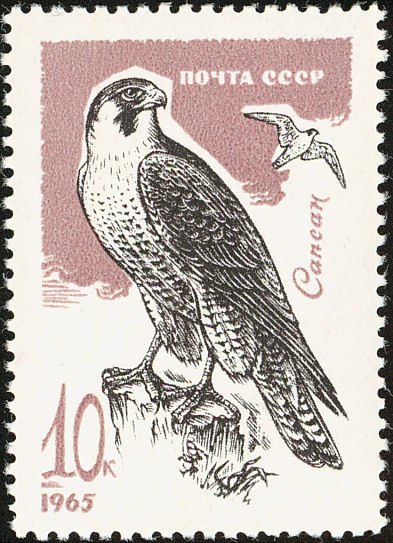 1965-139 Марка СССР Орёл-бородач   Хищные птицы II O