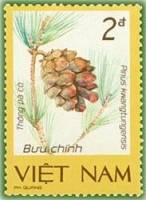 (1986-109a) Марка Вьетнам "Сосна Пако"  Без перфорации  Редкие растения III Θ