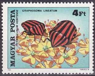 (1980-005) Марка Венгрия "Щитник линейчатый"    Насекомые, опыляющие цветы II &Theta;