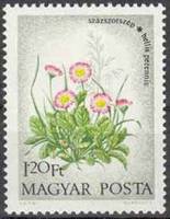 (1973-058) Марка Венгрия "Маргаритка многолетняя"    Полевые цветы I Θ
