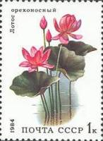 1984-038 Марка СССР Розовый лотос  Водные растения III O