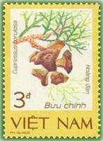 (1986-111) Марка Вьетнам "Кипарис гималайский"    Редкие растения III Θ