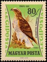 (1962-085.1) Марка Венгрия "Орёл-карлик"    Хищные птицы III Θ