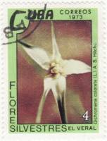 (1973-074) Марка Куба "Очеретник красивый"    Полевые цветы III Θ