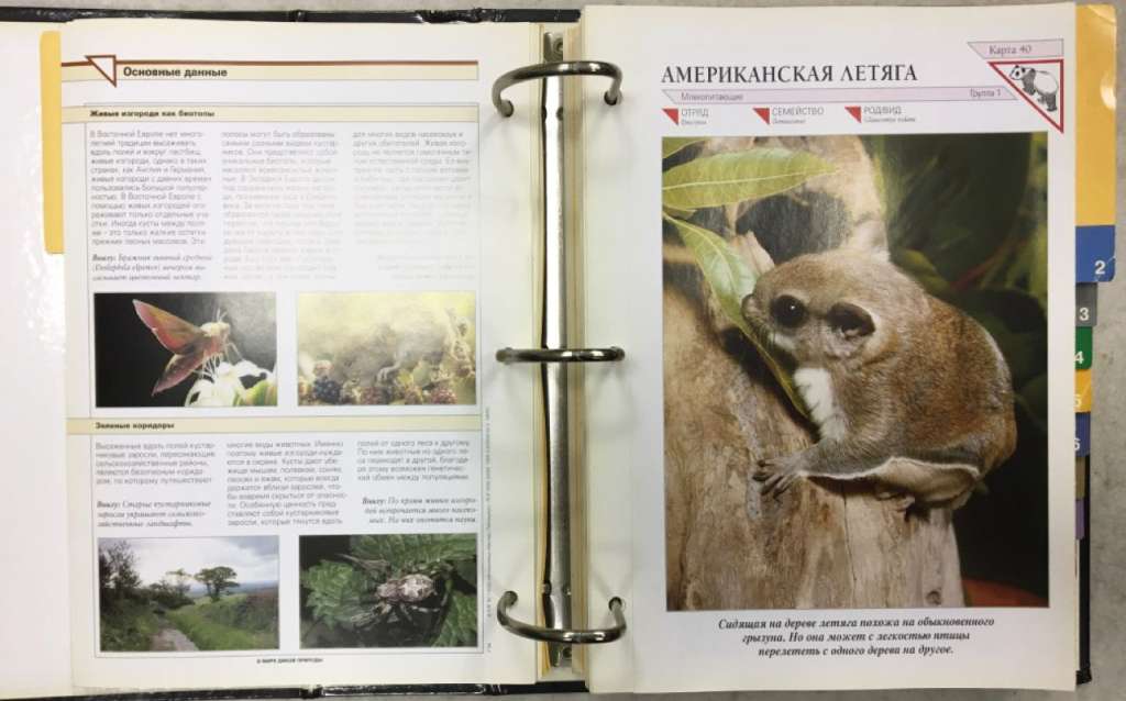 Альбом &quot;В мире дикой природы&quot; (сост. на фото)