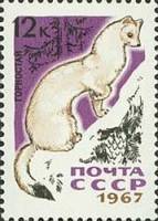 1967-080 Марка СССР Горностай   Пушные промысловые звери III O