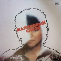 Пластинка виниловая Наталья Нурмухамедова Малиновый сироп Мелодия 300 мм. Near mint