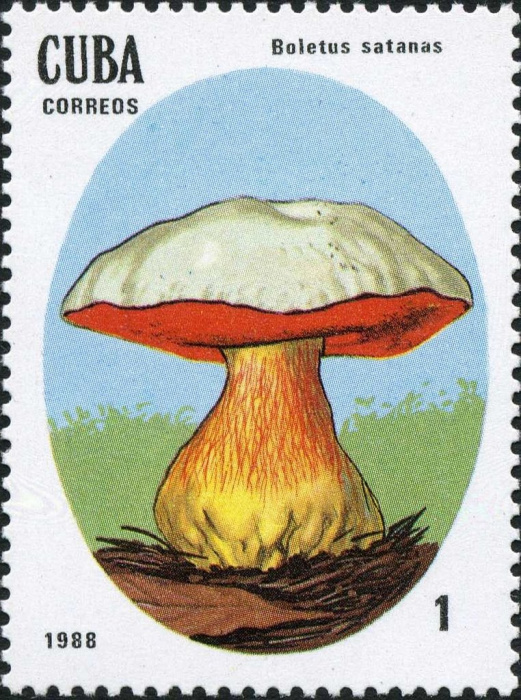 (1988-008) Марка Куба &quot;Сатанинский гриб&quot;    Ядовитые грибы III Θ
