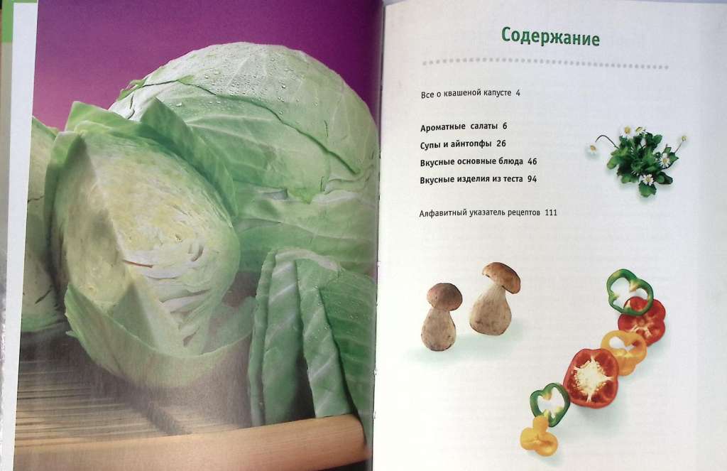 Набор книг (2 шт.) Блюда из квашеной капусты. Самые вкусные блины 2006, 2007 К. М. Урбан О. Титц Мос